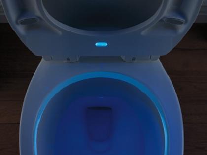 Sanborne Toilet Seat 