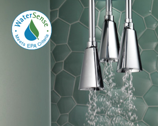 Thumbnail image of WaterSense® Labeled Products
