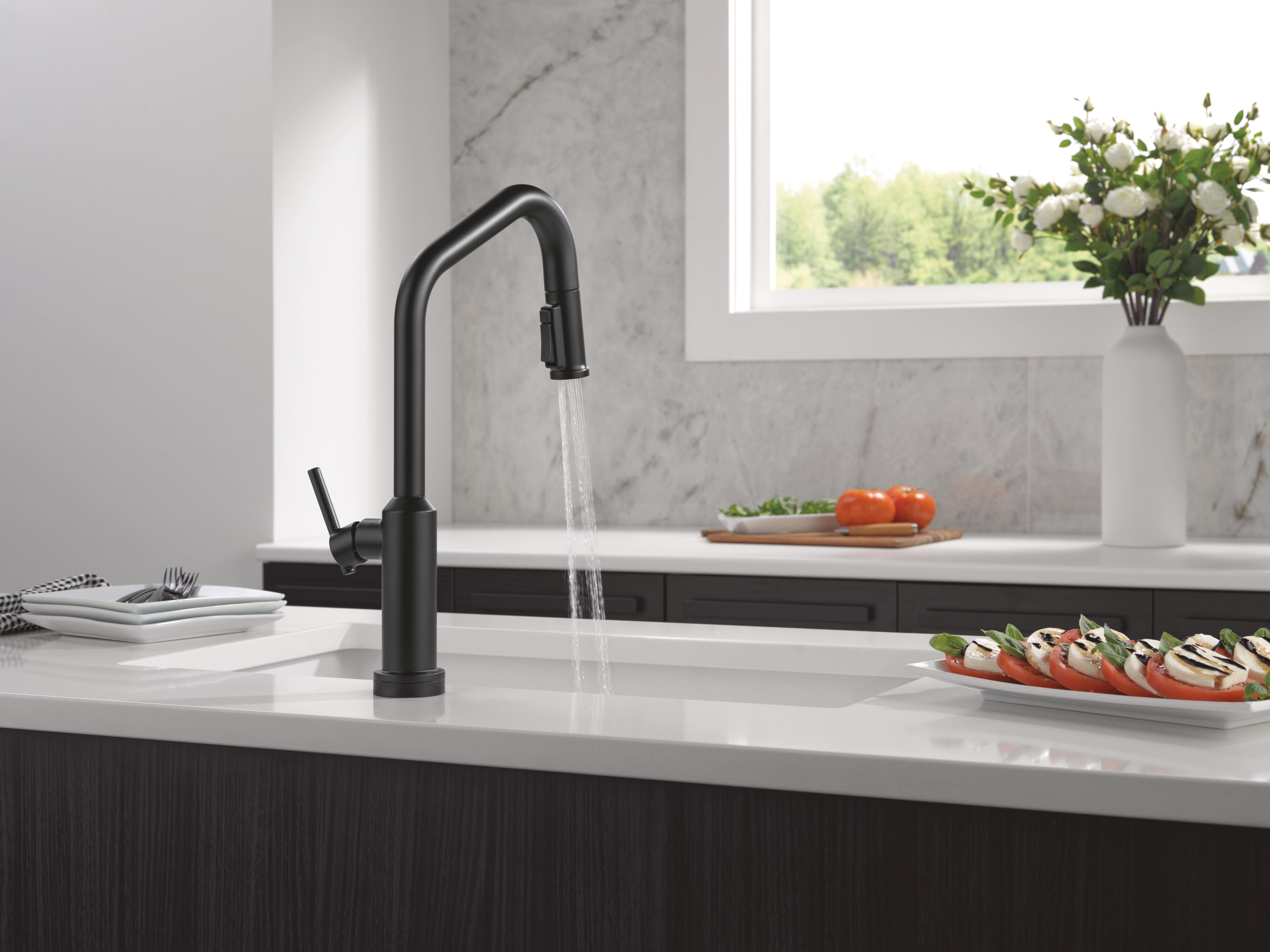 9085tl bl dst water 02