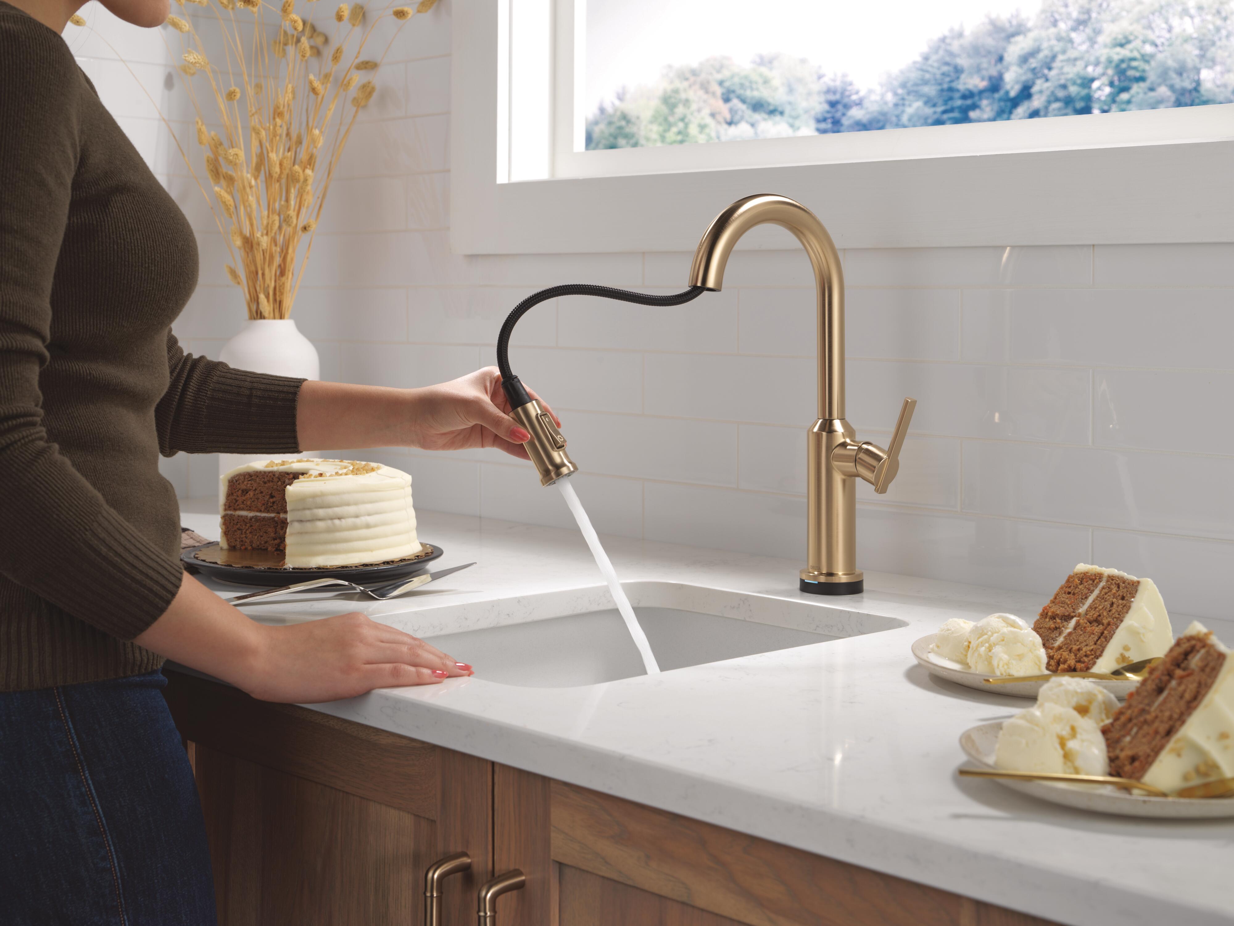 	9985tl-cz-pr-dst_model_water_01.jpg